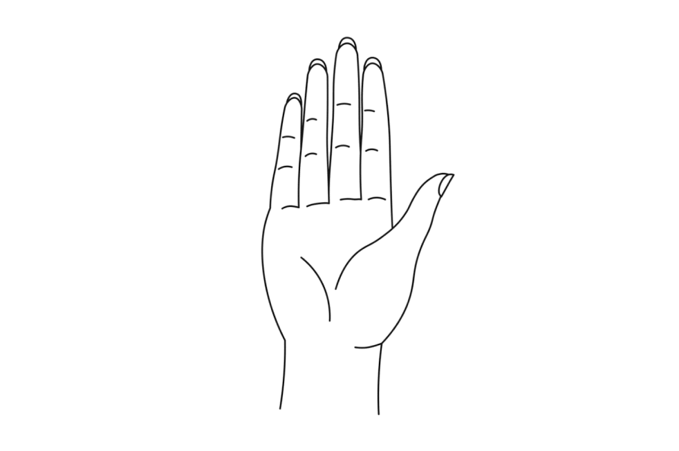 Oevelse 3 Finger pincet